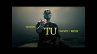 TU(Full Song Lyrics):Talwiinder |JackieShroff |Neelam Kothari |Sanjoy |Bhushan Kumar