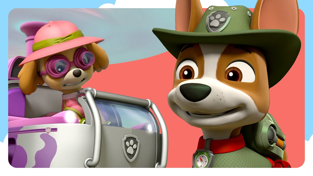Jungle pups rescues more paw patrol cartoons for kids youtube