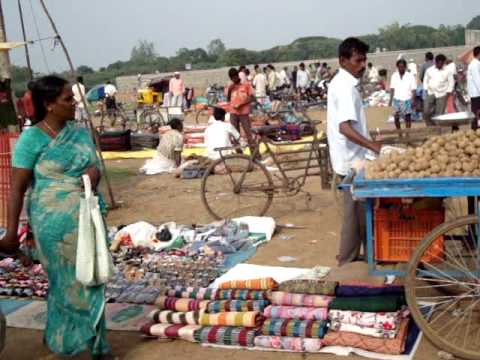 pallavaram birds market