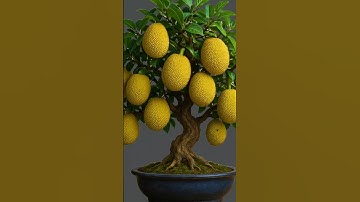 Super-stimulating propagation technique helps JACKFRUIT trees grow 10 times faster