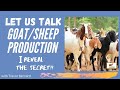 Rvlons la production de chvres et de moutons et comparons avec la vache  avec mbernardsrajm