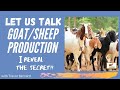 LET S REVEAL GOAT SHEEP PRODUCTION And COMPARE With COW With Mr Bernard SRAJM LET S REVEAL GOAT SHEEP PRODUCTION And COMPARE With COW With Mr Bernard SRAJM