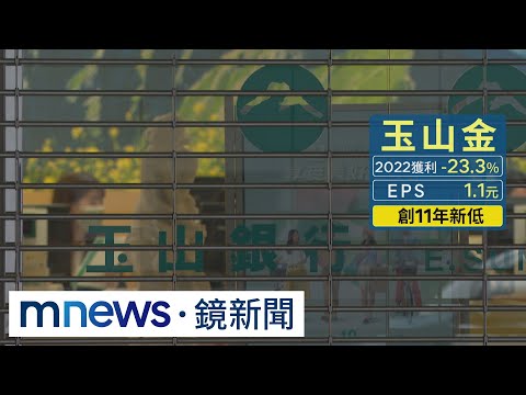 存股族哭哭！ 玉山金宣布配0.6元股利創新低｜#鏡新聞