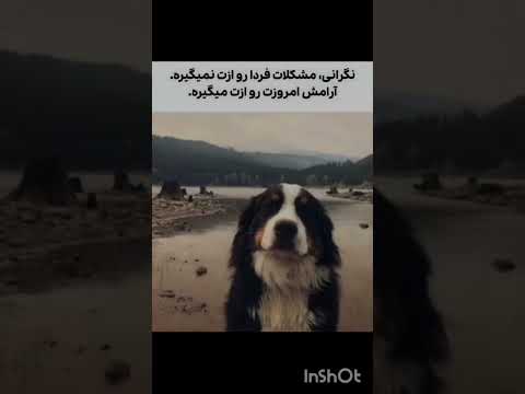 برای آرامشت درونی شما ساب کن با مرام