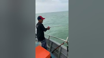 Test cần Jig với giá rẻ hạt dẻ nhé các Cần Thủ. #ryoko #fishing #câu_cá_giải_trí