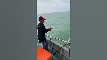 Test cần Jig với giá rẻ hạt dẻ nhé các Cần Thủ. #ryoko #fishing #câu_cá_giải_trí