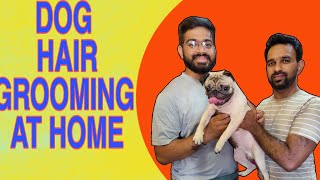 Dog grooming at home | pet grooming at home | dog hair removing | puppy grooming at home @thepetguy by THE PET GUY 89 views 3 weeks ago 15 minutes