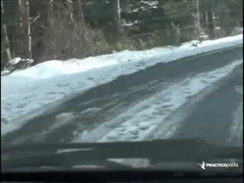 Video: ¿Cómo se conduce por un camino helado?
