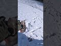 Достойный джентльмен  #рыбалка #тайга