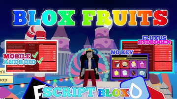 BLOX FRUITS Script Mobile UPDATE 19 AUTO FARM | BOSS FARM | RAIDS | RACE V4 | MASTERY (NO KEY)