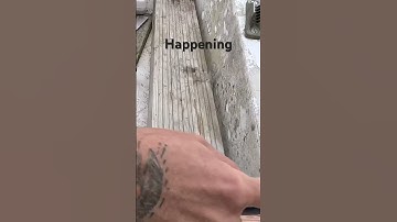 Ripping oak #shorts #diy #sailing #boat #project #free #autumn #oak #sea #2023 #19 #youtubeshorts ⛵️