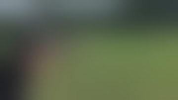 Franklin BFS trigger in CMMG 22 SBR