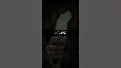 #القارئ #احمد_النفيس #تلاوة_خاشعة