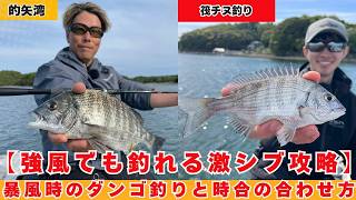 悪条件を制す!“VERTEX”で挑む的矢湾のチヌ釣り【フィシングマスター】
