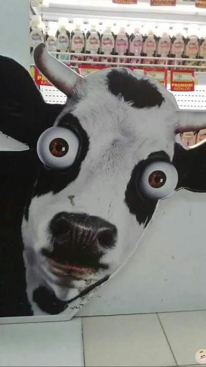 Sapi melotot🤪 #tebaktebakan #funnyvideos #viral #memes #shorts