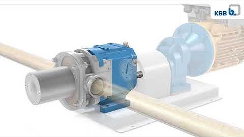 SD Vitalobe EN music 480p 205s 160828