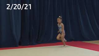 rhythmic gymnastics level 3 competition floor and ball