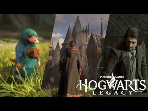 Melhores mods Hogwarts Legacy: como baixar e instalar no jogo? - Millenium