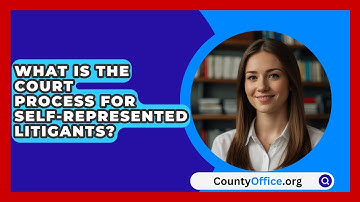 What Is The Court Process For Self-represented Litigants? - CountyOffice.org