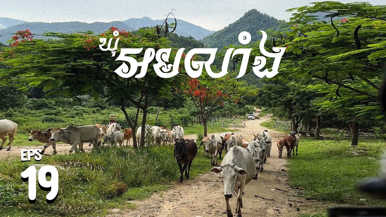 EPS 19 l ROAD TO AMLEANG​ អមលាំង​ ទេសភាព​ភ្នំស្អាតៗ​​​ នារដូវវស្សា​ 