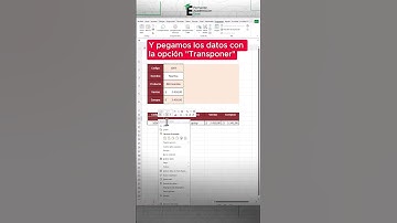 Automatiza tus registros usando una sola Macro en Excel. 🫡💚#excelconsejos #excel