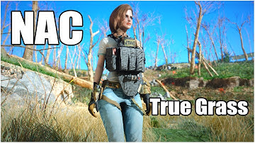 True Grass and NAC MOD SHOWCASE | Fallout 4 Next-Gen Update Mods 2024