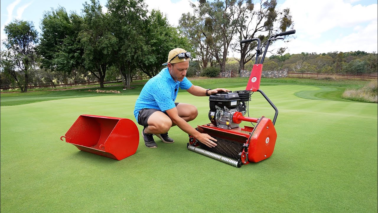 Making My Lawn Less Spongy // Grooming my Lawn