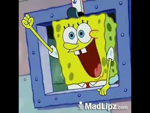  Video  lucu  Spongebob  bahasa  Indonesia  YouTube