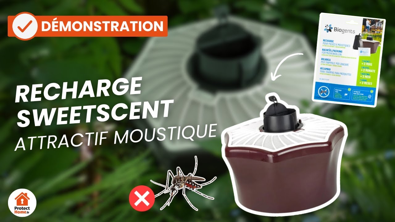 Recharge 2 Mois Biogents BG-SWEETSCENT Pour Piège Anti-Moustiques Extérieur BG-MOSQUITAIRE