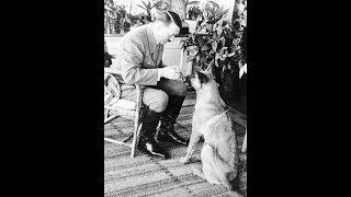 Norm Macdonald talks about Hitler`s Dog Content