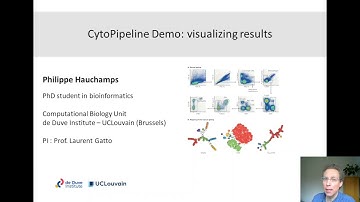 CytoPipeline: pre-processing pipeline visualization!