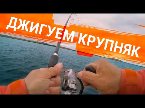 БОЛЬШАЯ ЩУКА на