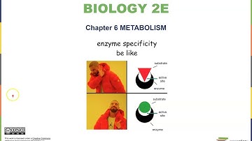 Chapter 6 Metabolism