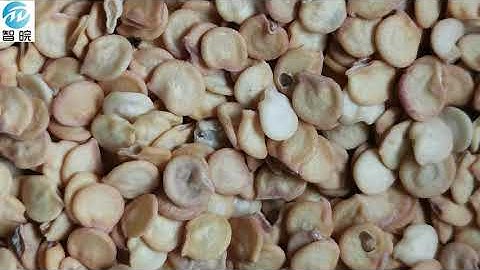 The one pepper seed counting bagging machine/seed counter machine