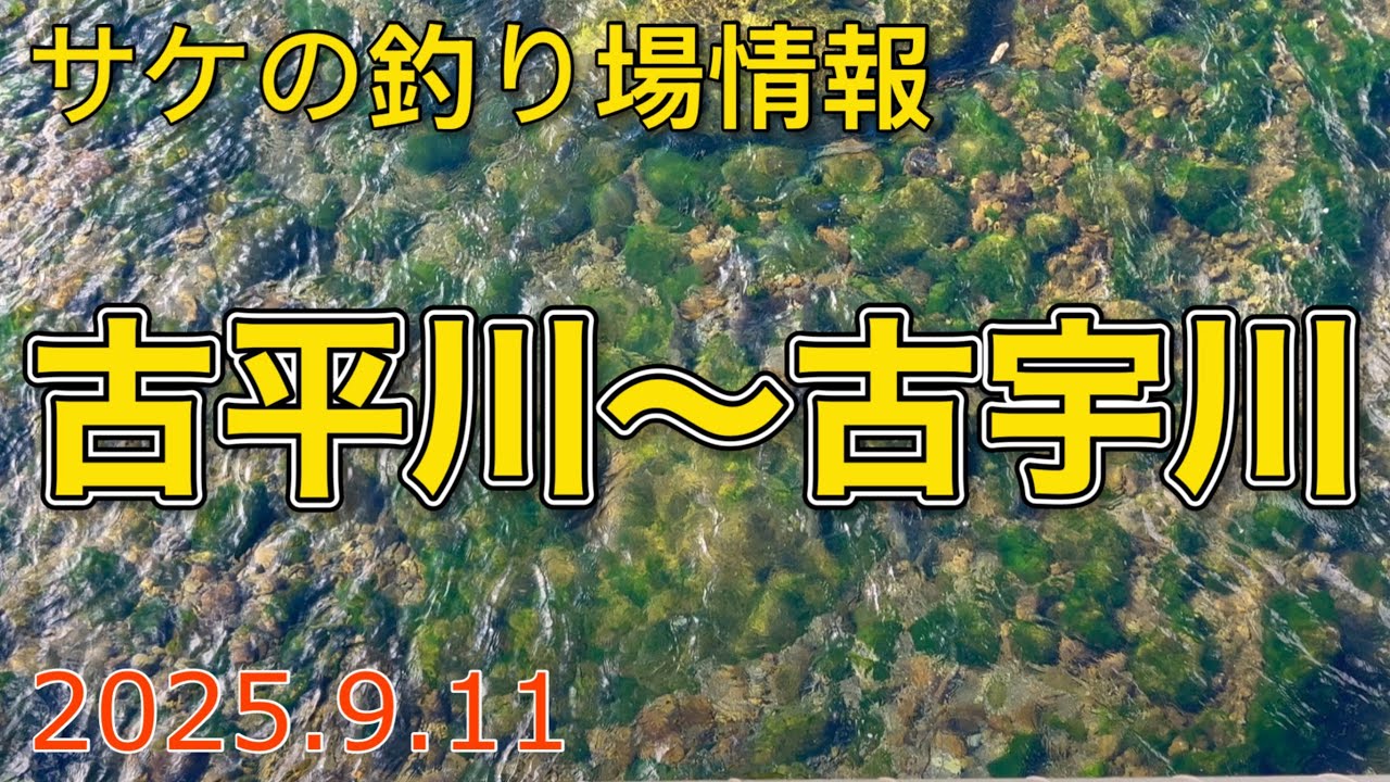 サケの釣り場情報　古平川〜古宇川