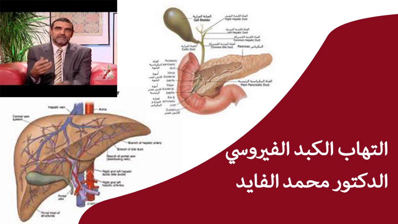 التهاب الكبد الفيروسي الاسباب والعلاج مع الدكتور محمد الفايد - YouTube.
