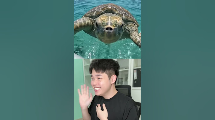 This Turtle is Too Cute #turtle #cute #funny