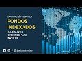 FONDOS INDEXADOS Y ETFS ¿CÓMO INVERTIR EN MÉXICO? EXPLICACIÓN PARA PRINCIPIANTES  SABUESO FINANCIERO