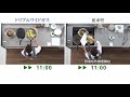 パナソニックキッチン　トリプルワイドガス同時調理実験動画