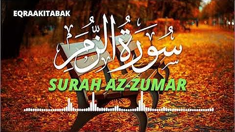 سورة الزمر للقارئ احمد الشلبي || ahmad shalabi surah az zumar 39 quran