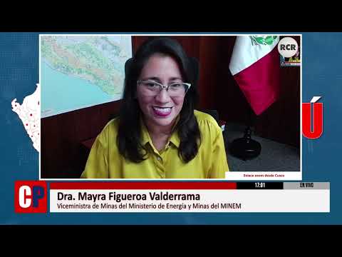 ALCANCES DE LA NULIDAD DEL INICIO DE ACTIVIDADES DE EXPLOTACIÓN DEL PROYECTO TÍA MARÍA