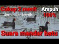 Suara mandar batu||mandar rawa jernih cocok untuk pikat #mandarbatump3