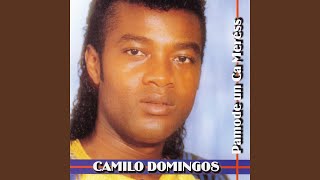 Video thumbnail of "Camilo Domingos - Ti procuro"