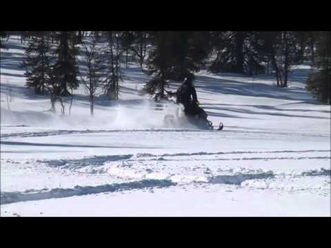 Video: Var är serienumret på en skoter?