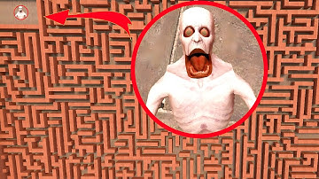 SCP-096 Caught Me in the Maze in Garry