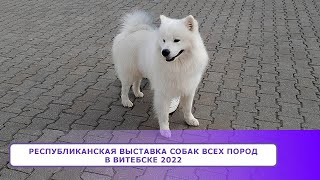 Республиканская выставка собак всех пород в Витебске 2022