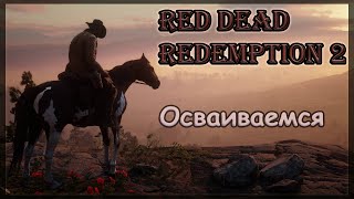 RDR2. #3 Ночные посиделки. Охота за шкурами, заработок, быт.