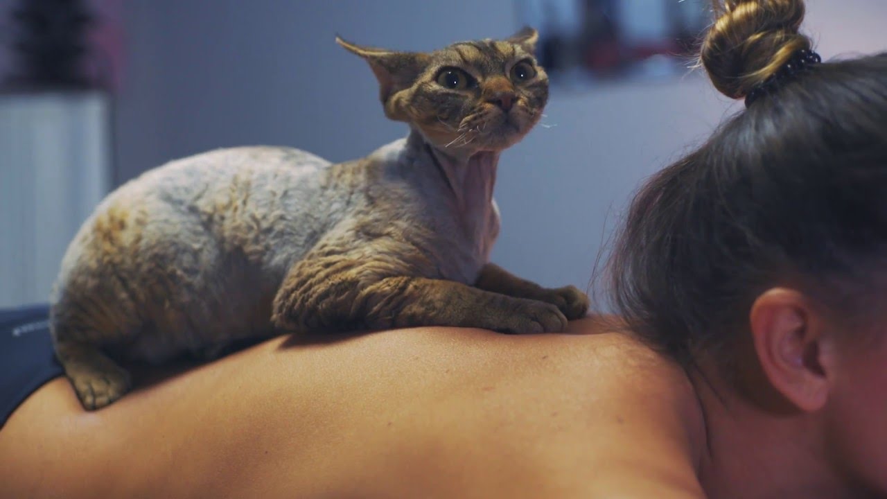 MIYU beauty studio - новая процедура