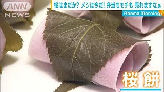 花見に合わせお弁当フェア　和菓子店では「桜餅」(19/03/20)