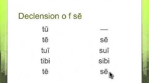 Latin Reflexives: sē and suus, -a, -um